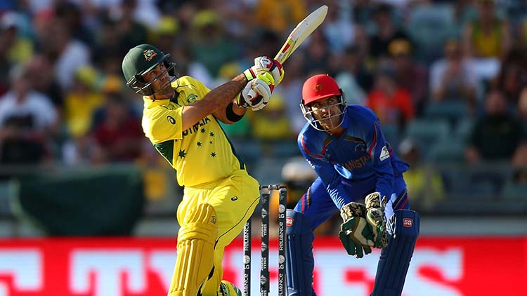 Highest Score In World Cup History By A Single Player