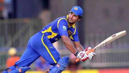 Top 5 Batsmen in International Cricket and the distance covered by them on the Cricket Pitch