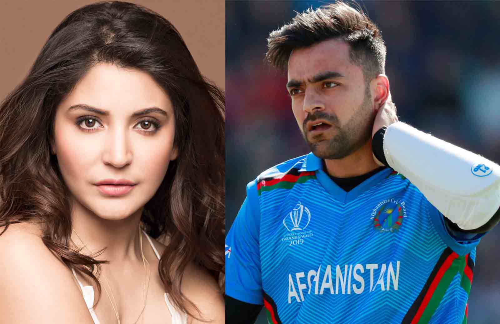 Why Google Search Shows Afghanistan Cricketer Rashid Khan wife is Anushka Sharma