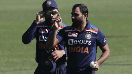 India vs Australia: Mohammed Shami Dismiss David Warner On A Peach Of A Delivery, India Gets 1st wicket