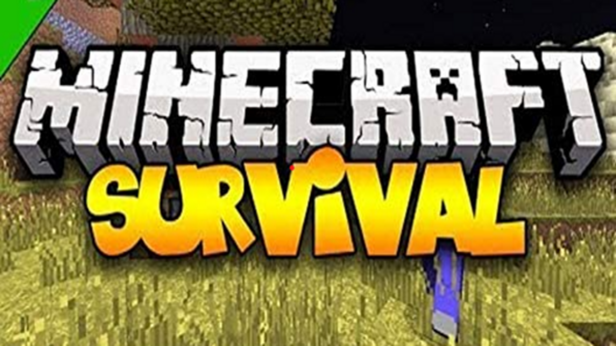 Beste Survival-Server in Minecraft