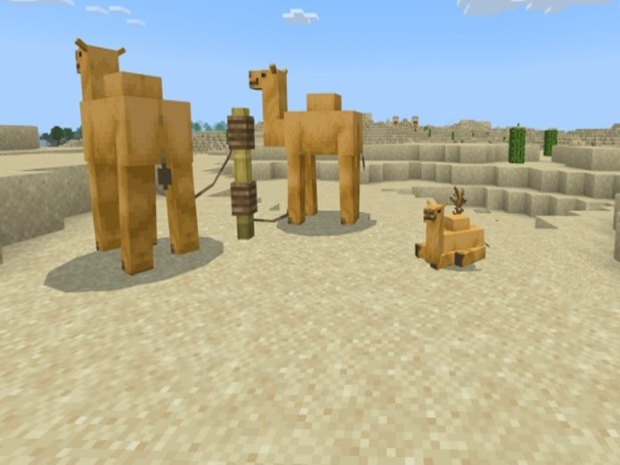 Minecraft Camels