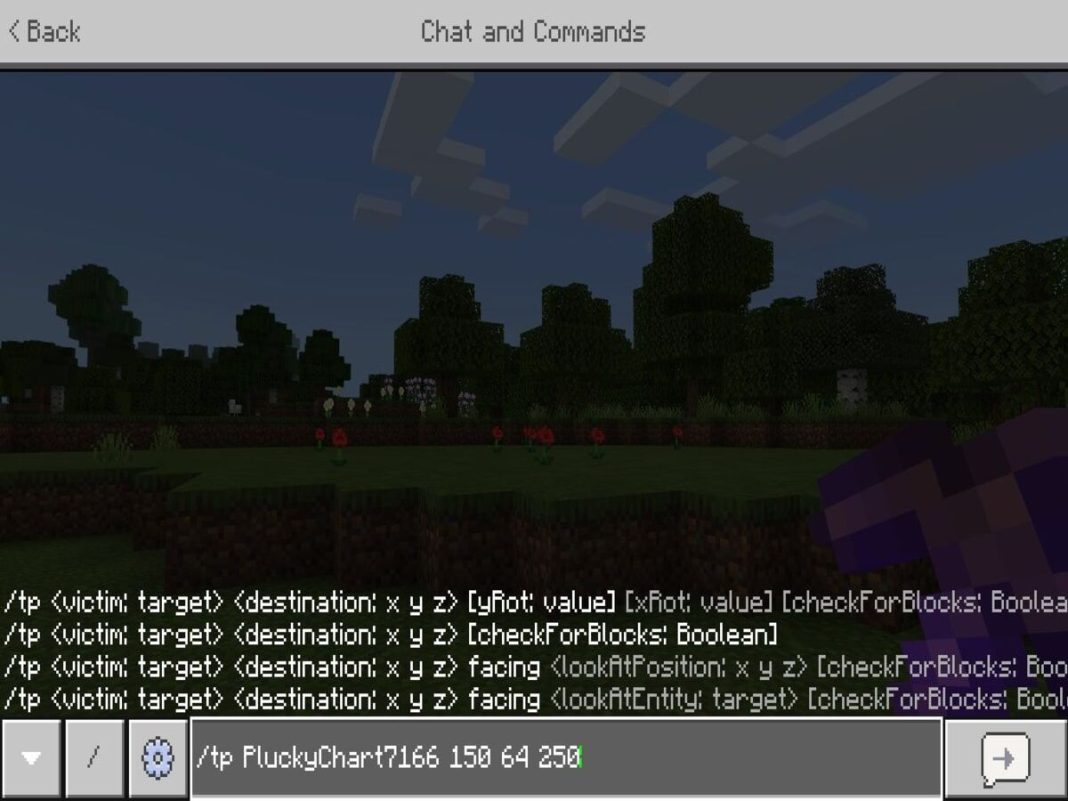 Minecraft 1.20 Teleport Command Guide