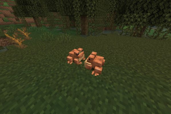 Breed frogs in Minecraft