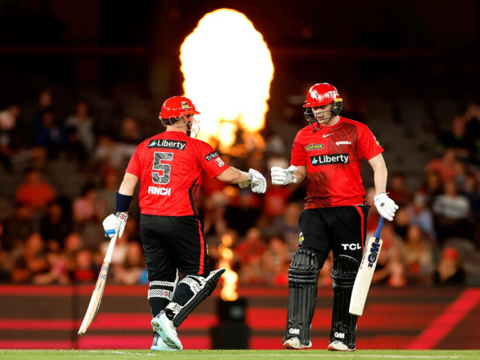 Melbourne Renegades Key Players