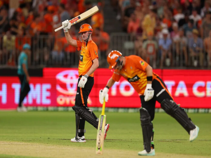 Perth Scorchers Key Players